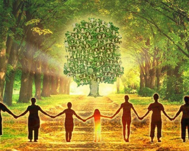 родовые программы