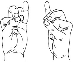 мудра спасающая жизнь